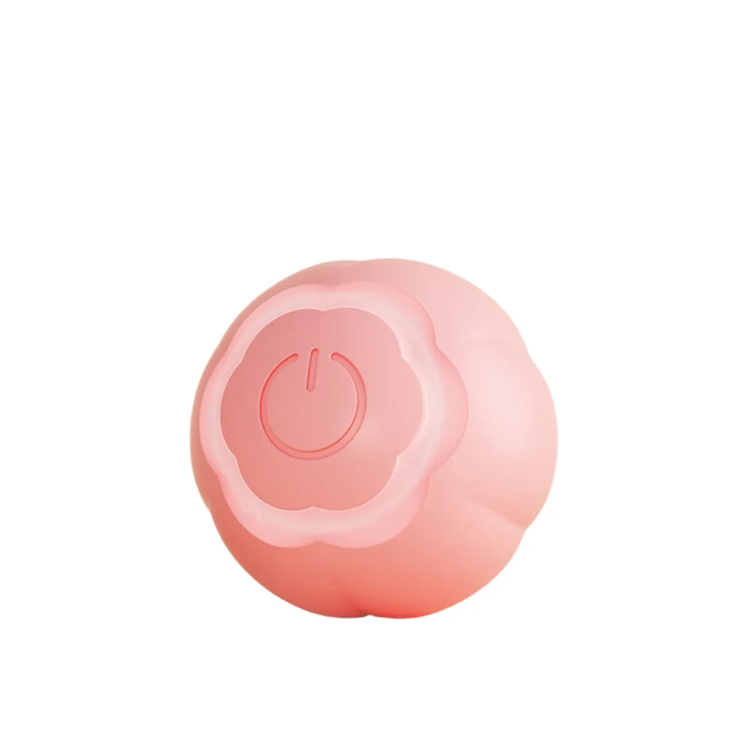 Automatic Rolling Ball Toys For Cats