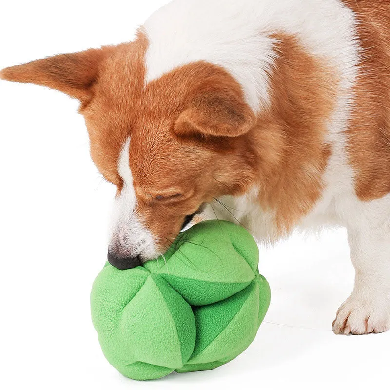 Broccoli Snuffle Training Toy for Dogs and Cats