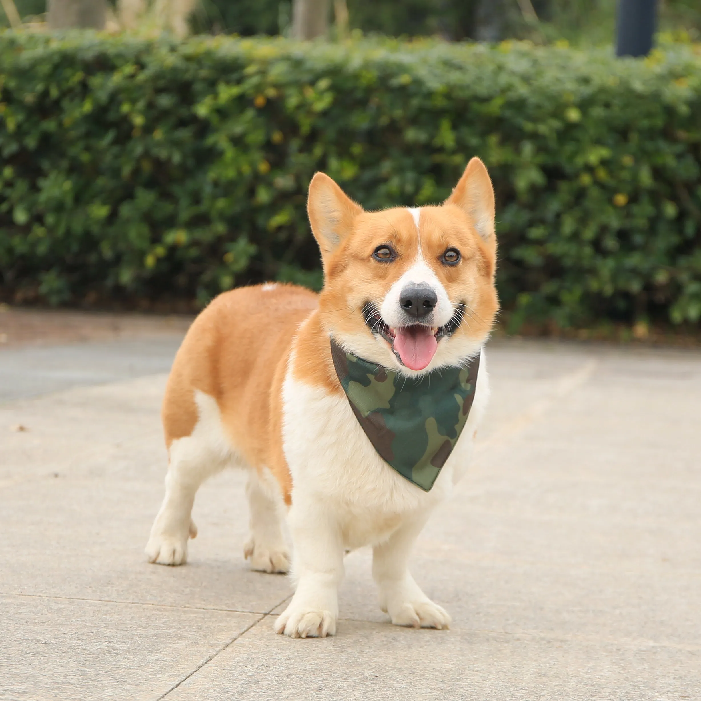 Camouflage Dog Collar Bandana