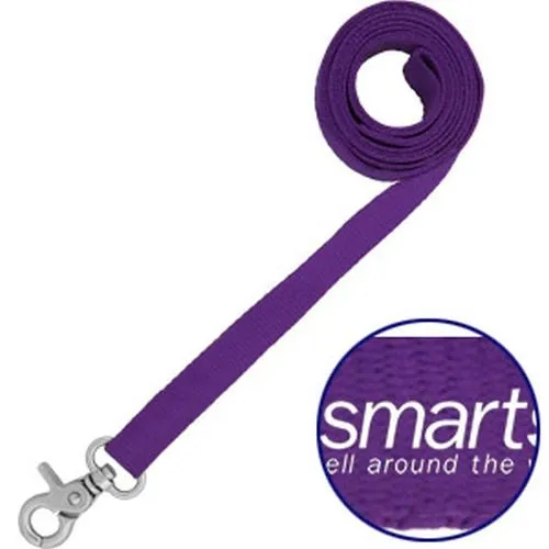 Econo Dog Leashes and Collars