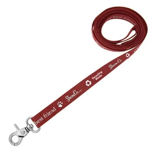 Econo Dog Leashes and Collars