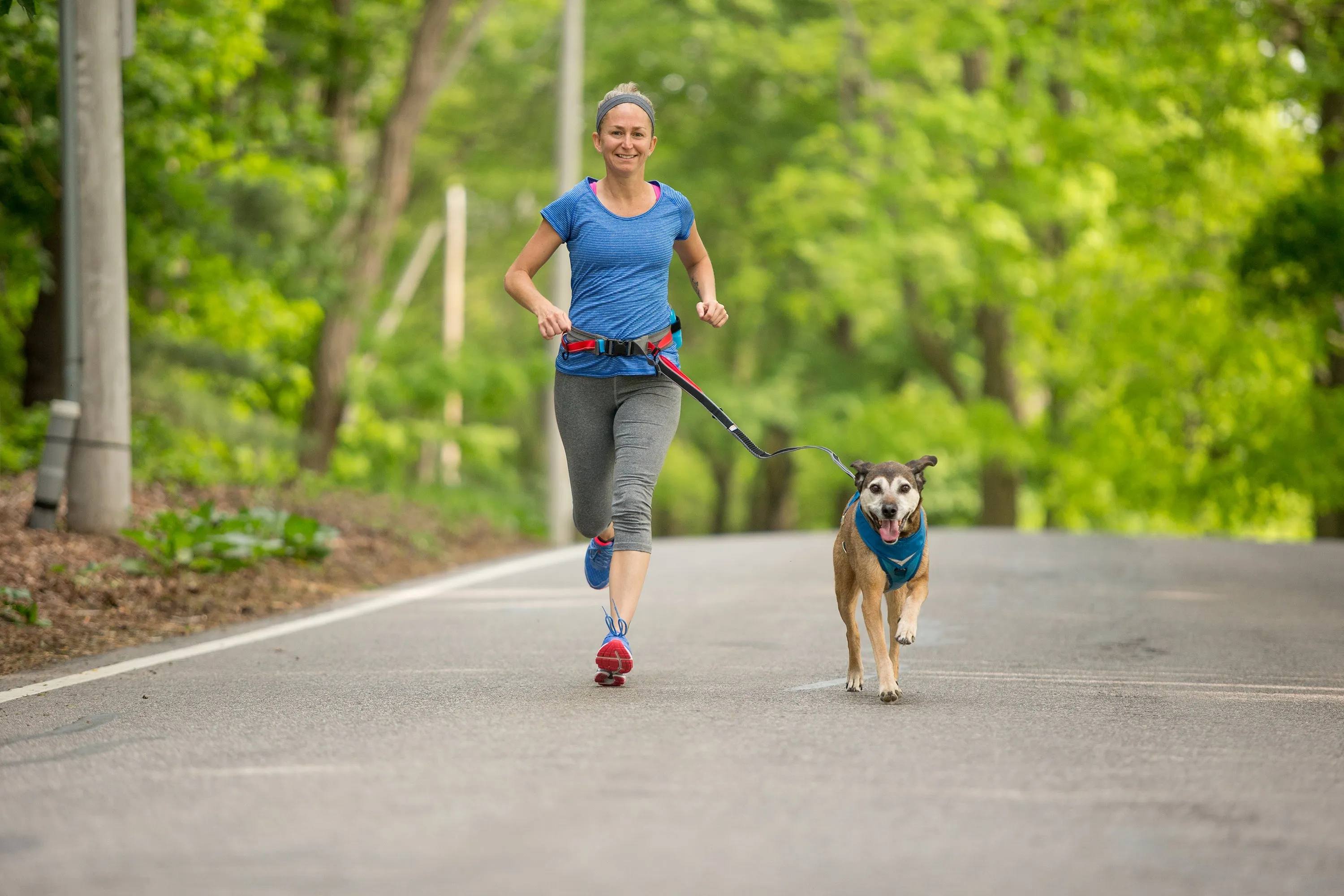 Kurgo Springback Bungee Leash