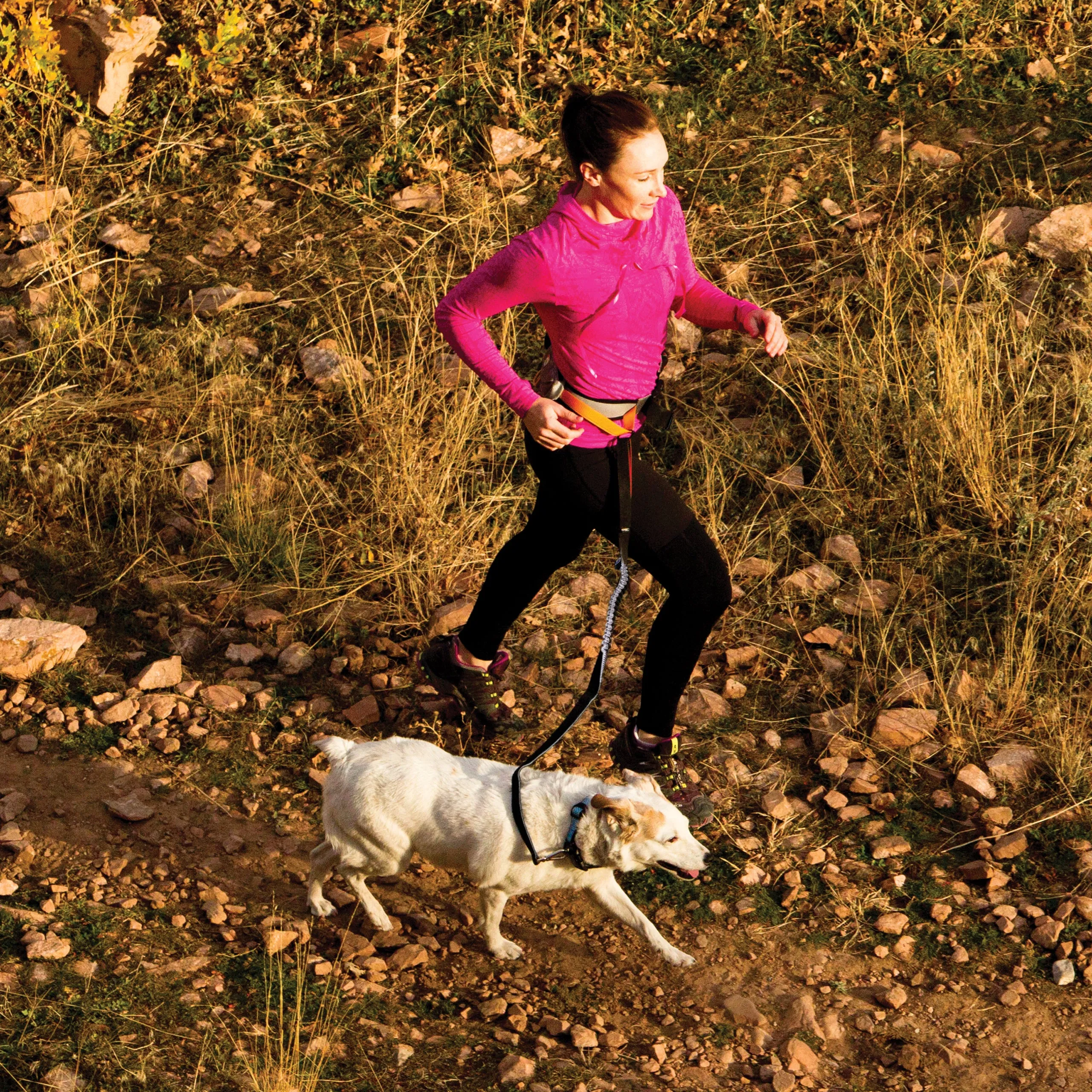 Kurgo Springback Bungee Leash