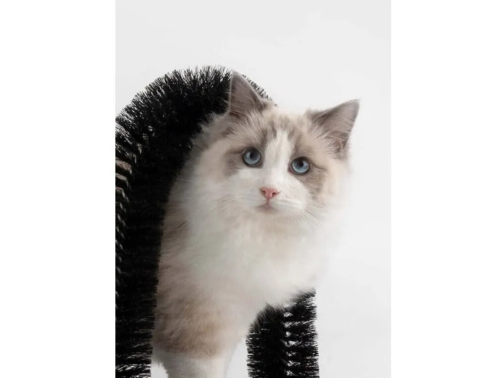 PAWISE  Grooming Scratcher  36x28x36cm