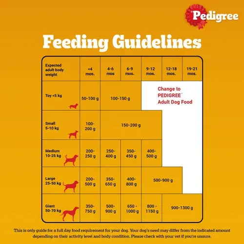 Pedigree Chicken and Milk Puppy Dog Dry Food (Limited Shelf Life)