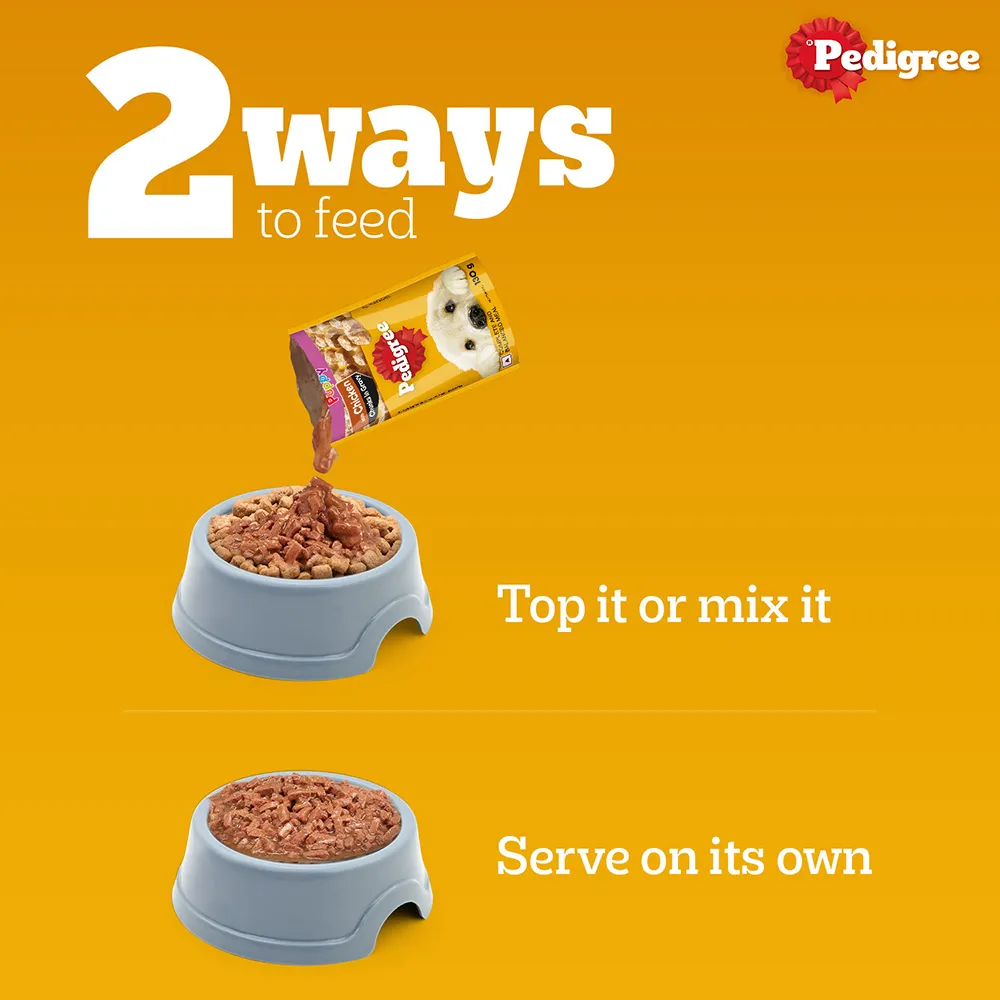 Pedigree Chicken Chunks in Gravy Pouch Puppy Dog Wet Food (130g)