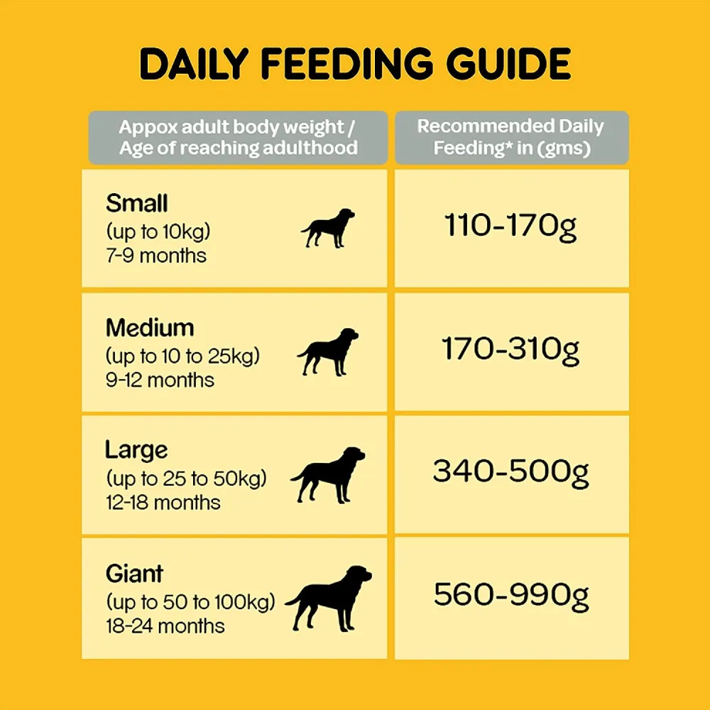 Pedigree Chicken, Egg and Rice Dry and Chicken and Liver Chunks in Gravy Wet Adult Dog Food Combo
