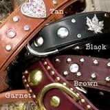 Personalized Leather Dog Collar with Nameplate 1 Inch Wide