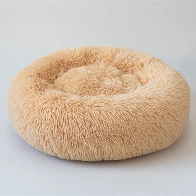 Petfocus Large Donuts Shape Pet Bed