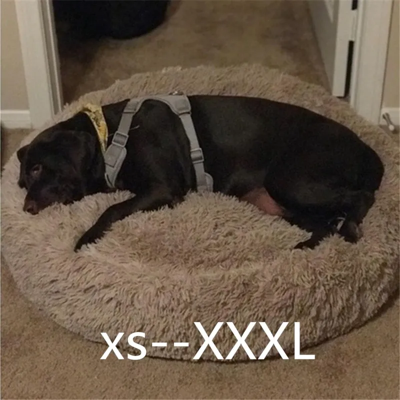 Petfocus Large Donuts Shape Pet Bed