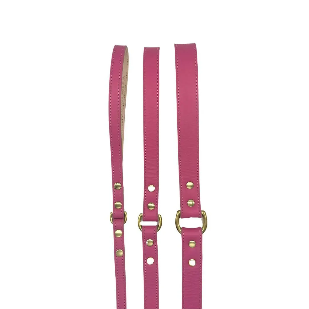 Plain Leather Dog Leashes