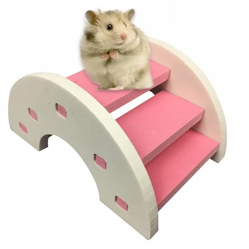 Rainbow Bridge Pet Toys