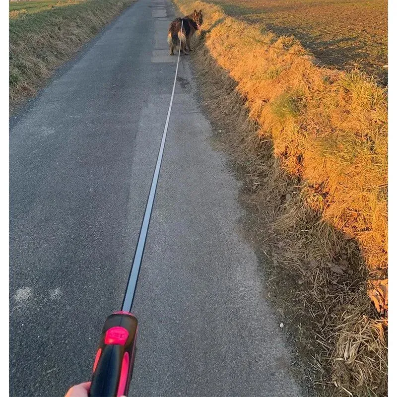 Retractable Dog Leash Collar Roulette