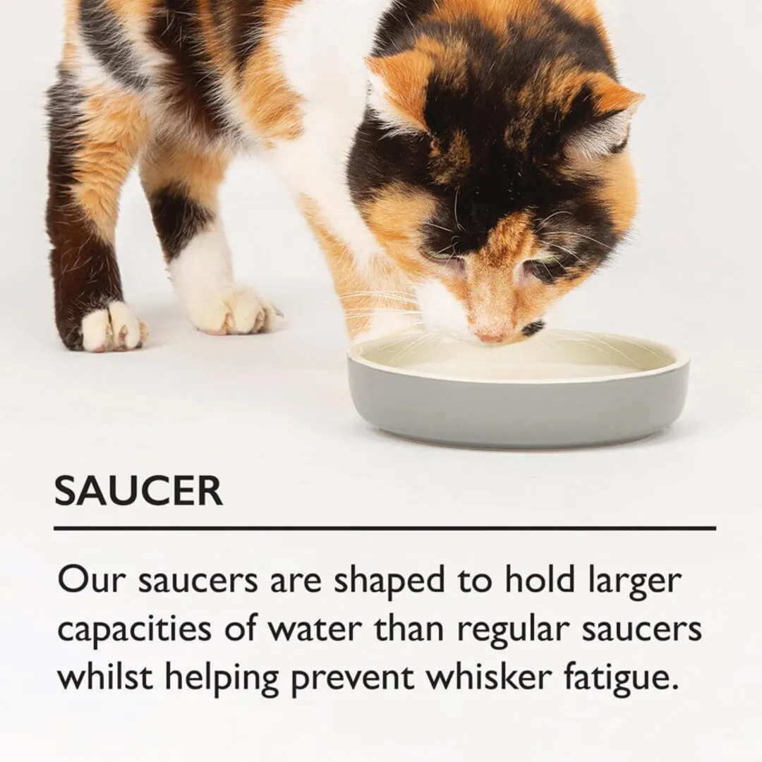 Scruffs Icon Ceramic Pet Food Saucer
