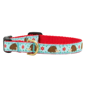 Teacup Collar | Hedgehogs