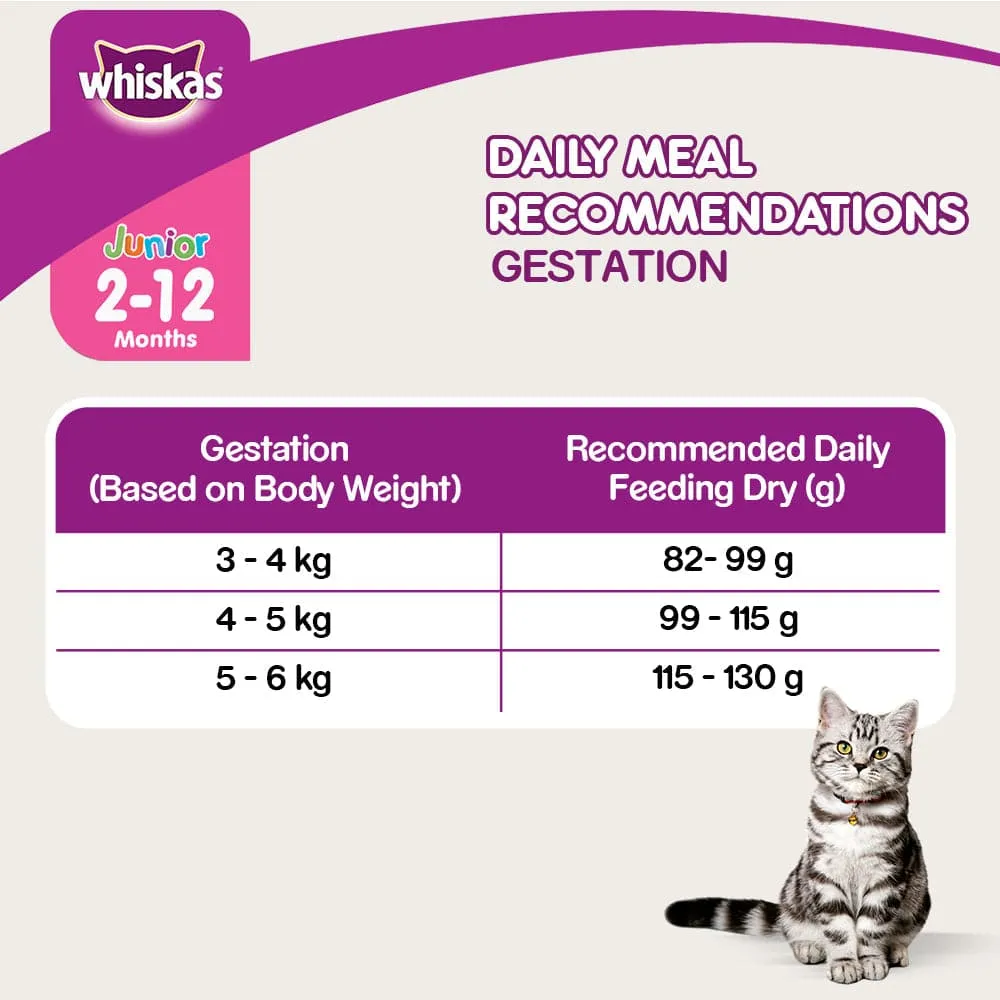 Whiskas Mackerel Flavour Dry Food for Mother and Baby Cat (Buy 1 Get 1) (Limited Shelf Life)