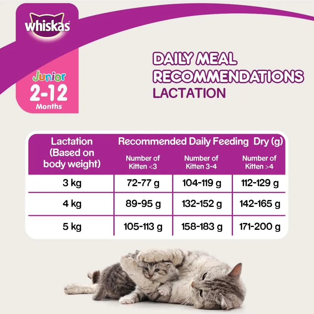 Whiskas Mackerel Flavour Dry Food for Mother and Baby Cat (Buy 1 Get 1) (Limited Shelf Life)
