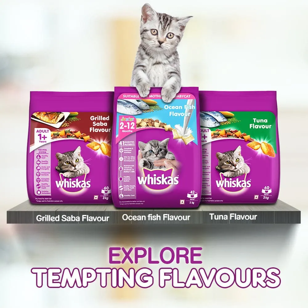 Whiskas Mackerel Flavour Dry Food for Mother and Baby Cat (Buy 1 Get 1) (Limited Shelf Life)