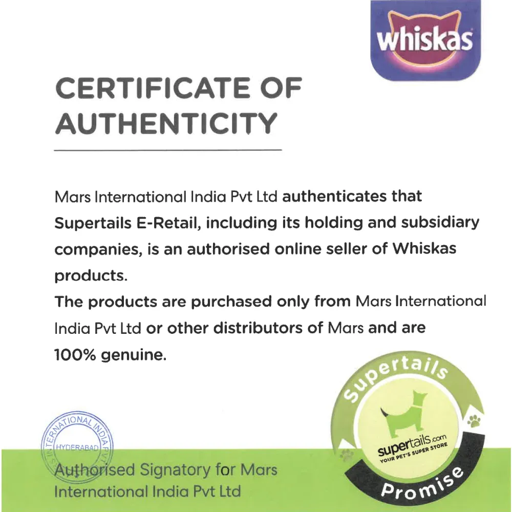 Whiskas Tuna in Jelly Kitten Wet Food and Mackerel Flavour Kitten (2 to 12 months) Dry Food Combo