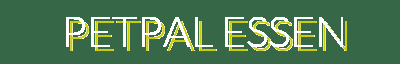 PetPal Essentials - Comfortable Beds, Interactive Cat Trees, Stylish Collars & More